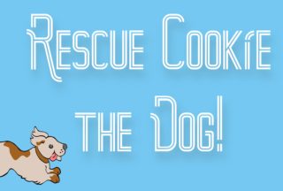 Rescue Cookie the Dog!